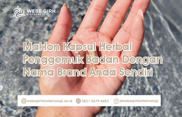 Maklon Kapsul Herbal Penggemuk Badan Dengan Nama Brand Anda Sendiri