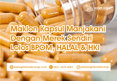 Maklon Kapsul Manjakani Dengan Merek Sendiri Lolos BPOM, HALAL & HKI