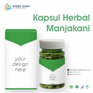 maklon kapsul herbal manjakani