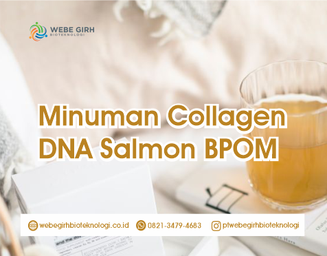 Minuman Collagen DNA Salmon BPOM