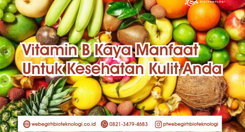 Vitamin B Kaya Manfaat Untuk Kesehatan Kulit Anda