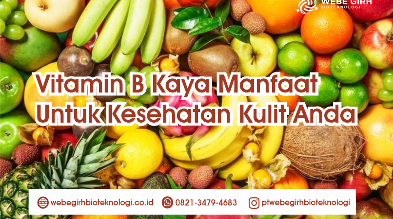 Vitamin B Kaya Manfaat Untuk Kesehatan Kulit Anda