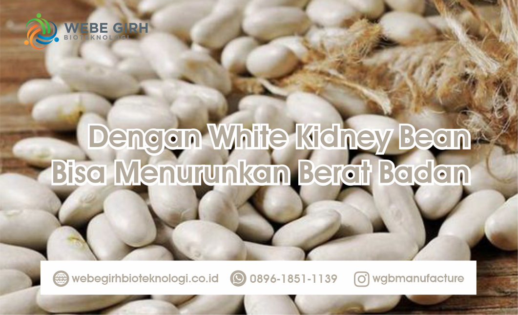 Maklon Minuman Serbuk Pelangsing Mengandung White Kidney Bean
