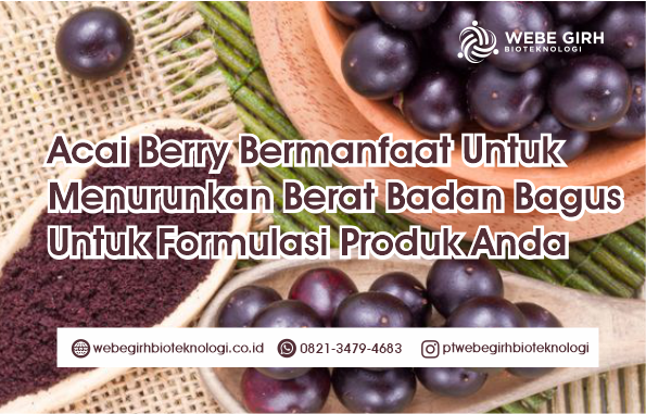 Acai Berry Bermanfaat Untuk Menurunkan Berat Badan Bagus Untuk Formulasi Produk Anda