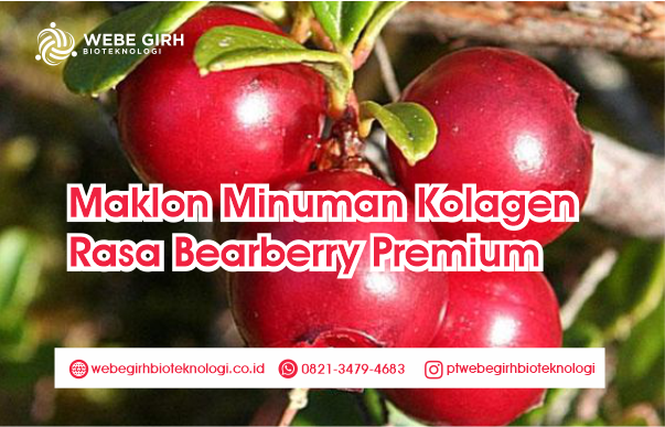 Maklon Minuman Serbuk Kolagen Rasa Bearberry Premium