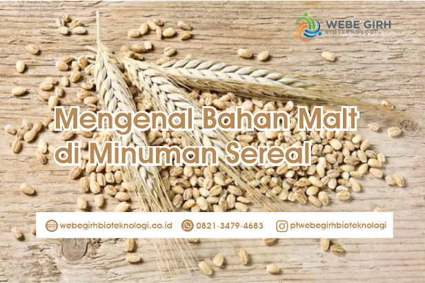 Mengenal Bahan Malt Yang Ada di Formulasi Minuman Sereal