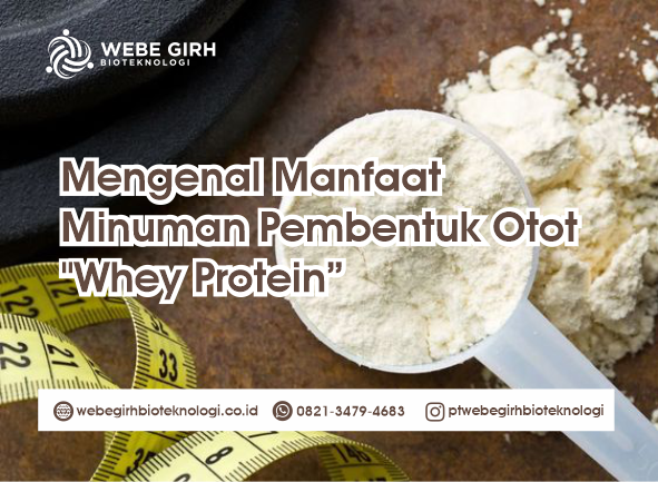 Mengenal Minuman Whey Protein Sebagai Suplemen Pembentuk Otot