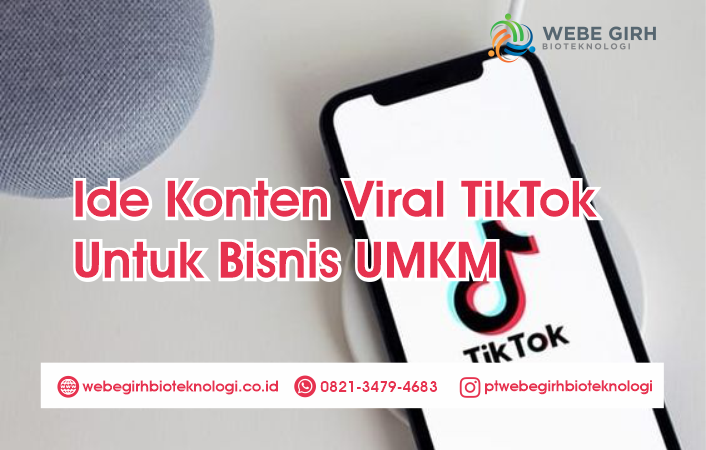 Ide Konten Viral TikTok Untuk Bisnis UMKM