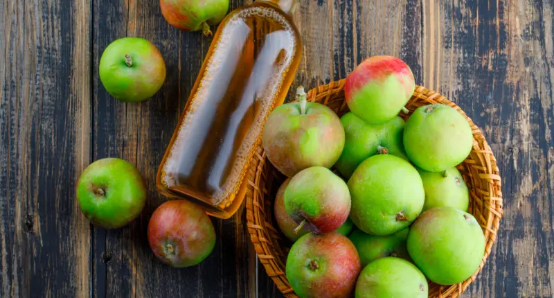 Jasa Maklon Cuka Apel